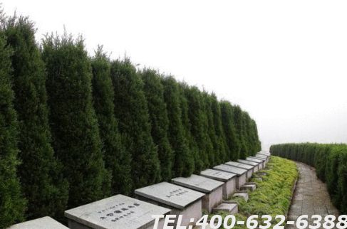 涿州铂悦山附近是墓地吗？这些墓地评价怎么样呢？