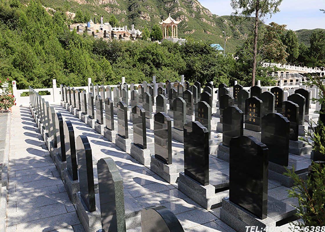 北京古树墓地价格表从哪个网站查询，十多万的墓地到底敢不敢买