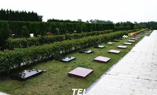北京市通州区张湾生态墓地价格贵不贵？在哪里能买到正规墓地？