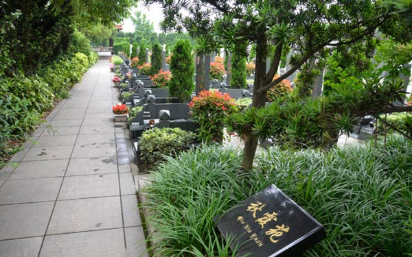 北京树葬价格是多少？环境风水的对比决定了性价比