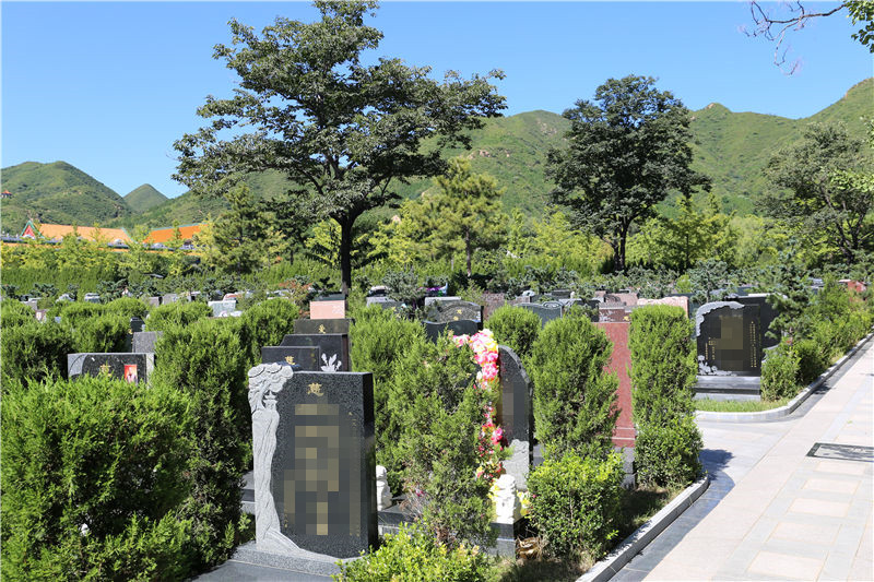 北京民政指定墓地  买的时候选哪个区比较好