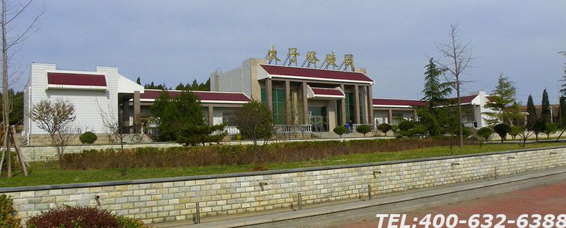 太子峪陵园墓地在哪里？环境优美植被丰富风水好