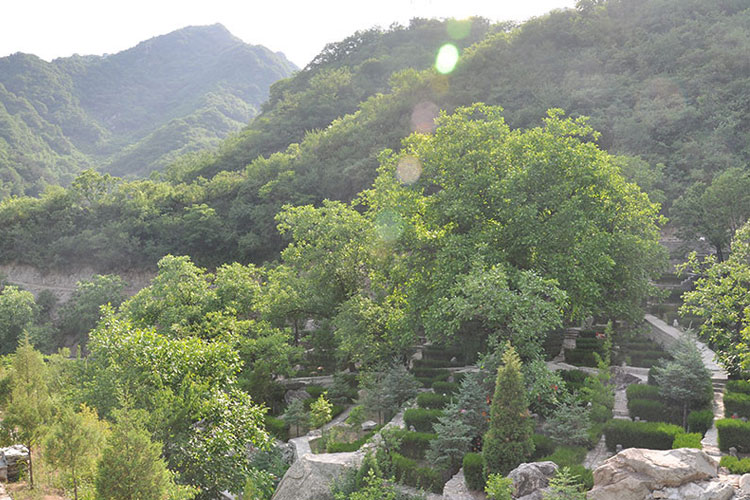 北京九公山天主教墓地价格 免费接送参观现场