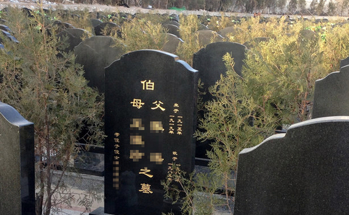 图片10.png