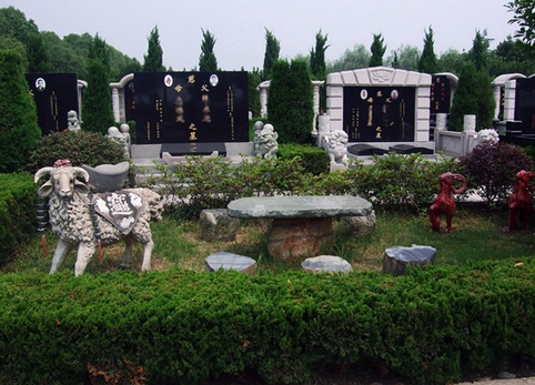 图片6.png