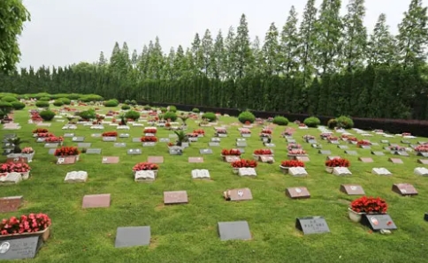 1651805532786534.png 下载 (5).png