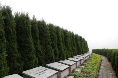 1652237355969419.png 下载 (2).png