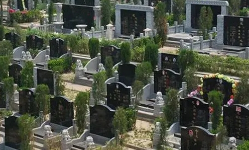 下载 (5).png
