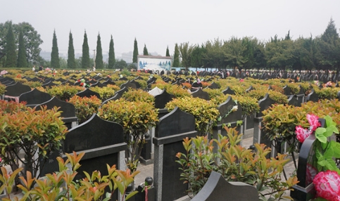 1668311442598227.png 下载 (9).png