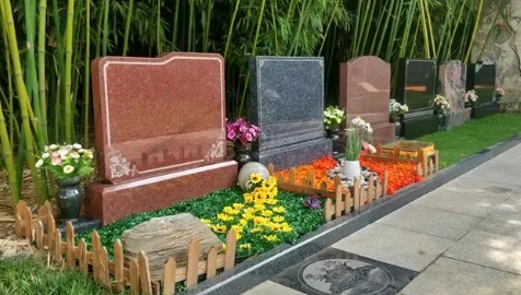 1673513138326008.png 下载 (7).png